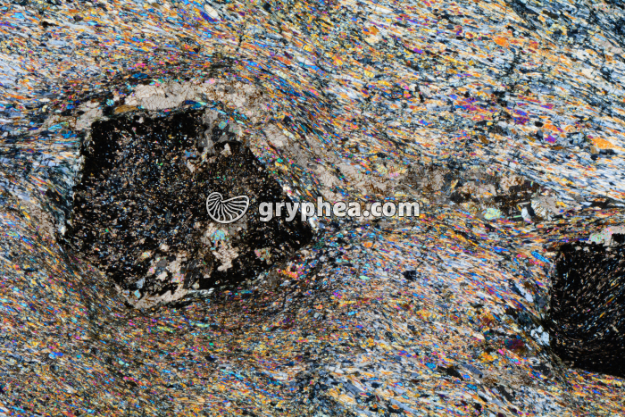 Schiste à grenats et glaucophane LPA x3,5 - gryphea.org